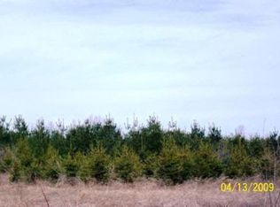 0 Suerwier Rd, Applegate, MI 48401