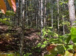 Stonegate Way, Townsend, TN 37882