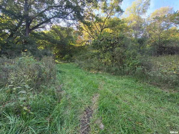625 E Hallock Hollow Rd, Edelstein, IL 61526