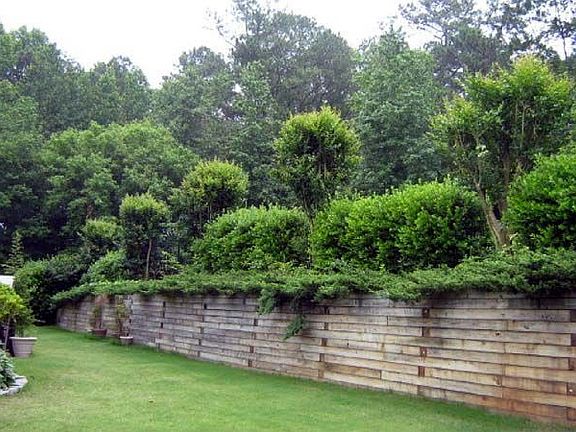 Big Level Yard Lower