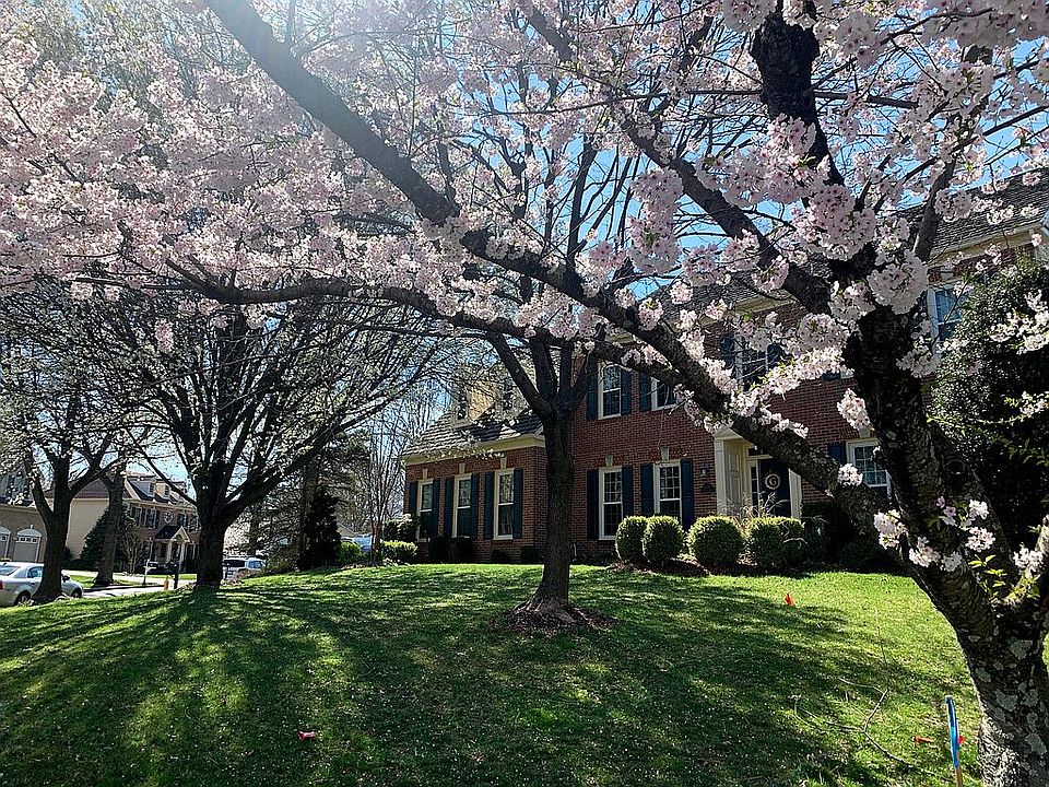 Stunning Corner Lot 