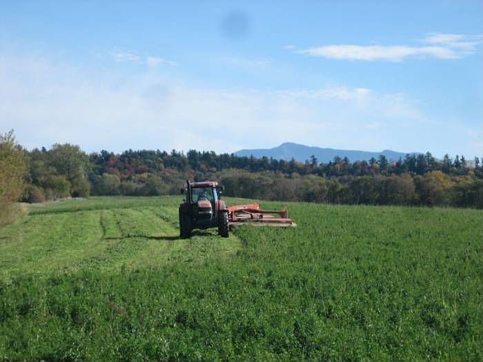 Country Living in City