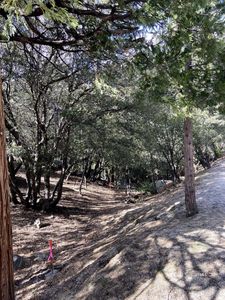 26393 Crestview Dr, Idyllwild, CA, 92549
