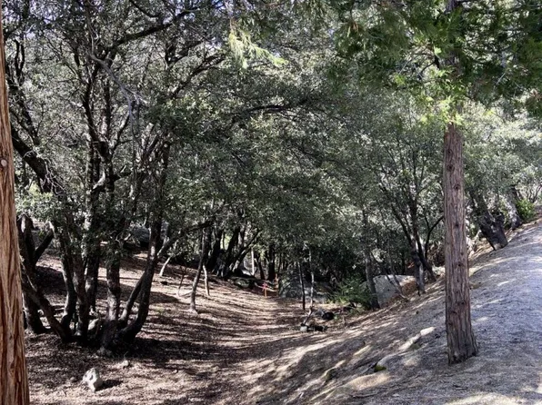 26393 Crestview Dr, Idyllwild, CA 92549