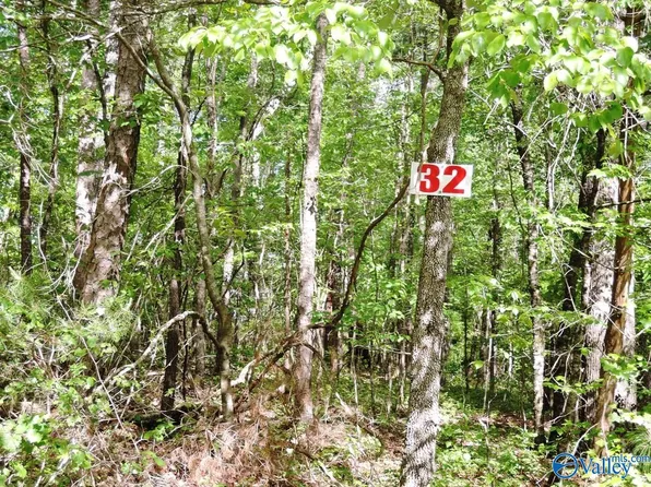 32 Harbor Loop, Jasper, AL 35504