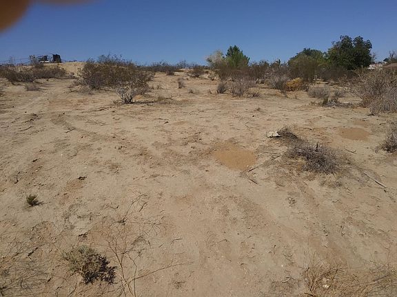 4th image of Boh Ln