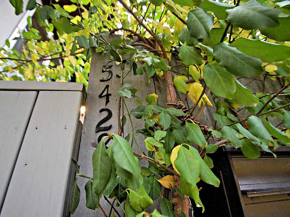 4th image of 5428 Worth Forest Pl