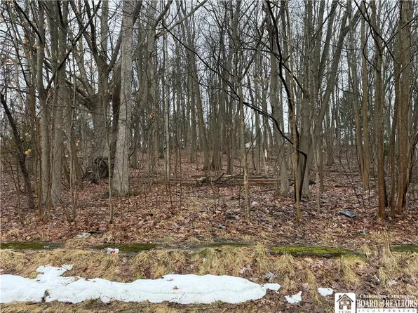 0 Willard St Lot 32, Jamestown, NY 14701