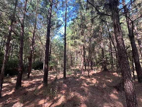 5th image of 5 County Road 239