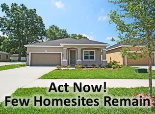 313 Roxbury Crossing Ct, Valrico, FL 33594