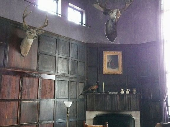 living room fireplace