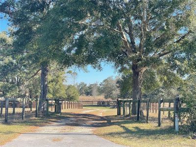9249 NW 160th Ave, Morriston, FL, 32668