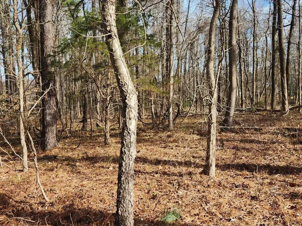 69 Plantation Dr, Montross, VA 22520