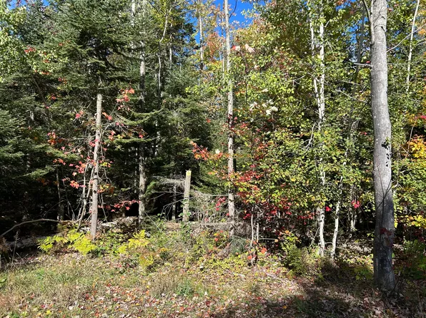 Tbd N Whitefish Point Rd, Paradise, MI 49768