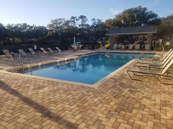 3314 Haviland Ct, Palm Harbor, FL