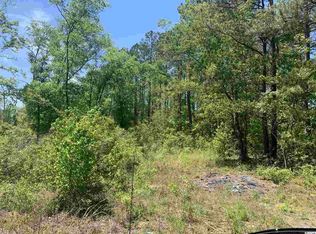 3 Mill Swamp Rd, Longs, SC 29568