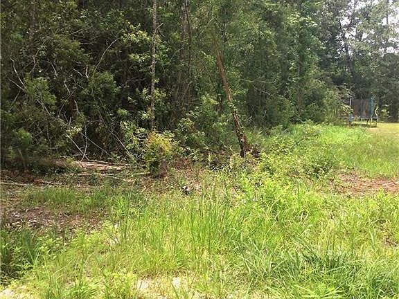 4th image of S Mimosa Dr