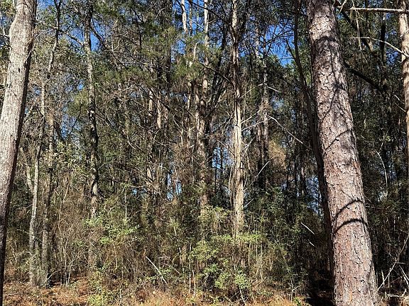 5th image of 0 Spring Lake Dr