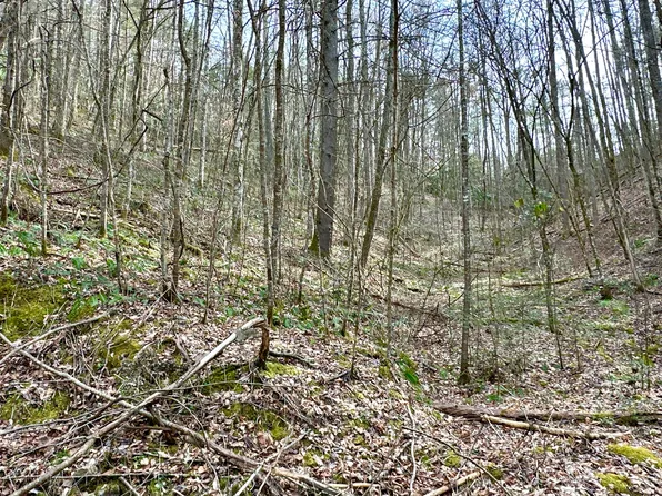 LOT Clydesdale Way #27, Del Rio, TN 37727