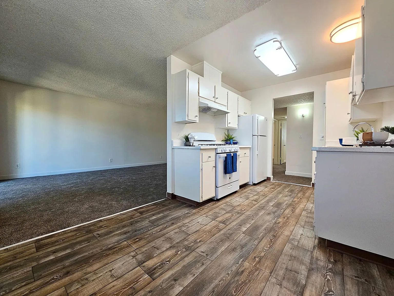 Shady Terrace Apartments! — Photo 3