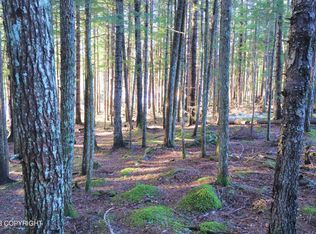 L15 Small Tracts Rd, Haines, AK 99827