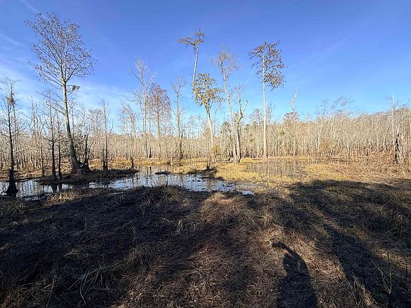 4th image of  Bryants Landing Rd.