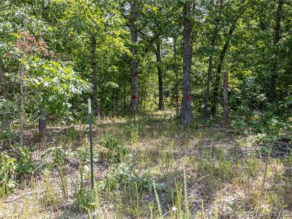 LOT Mini Farm Dr #G, Gravois Mills, MO 65037