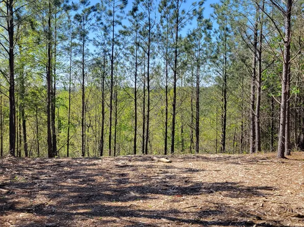 67 Stoney Creek Ct Lot 30, Linden, TN 37096