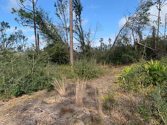 4th image of 11931 Camellia St