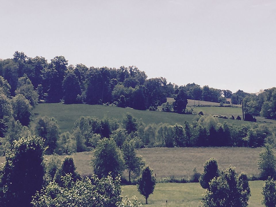 many gorgeous views