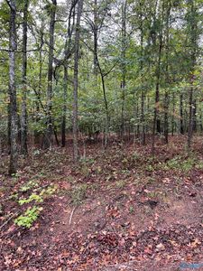 1245 Red Eagle Rd, Ohatchee, AL, 36271