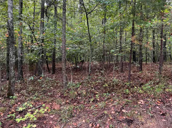 1245 Red Eagle Rd, Ohatchee, AL 36271
