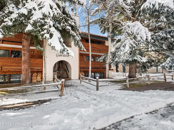 935 E Hopkins Ave #1, Aspen, CO 81611