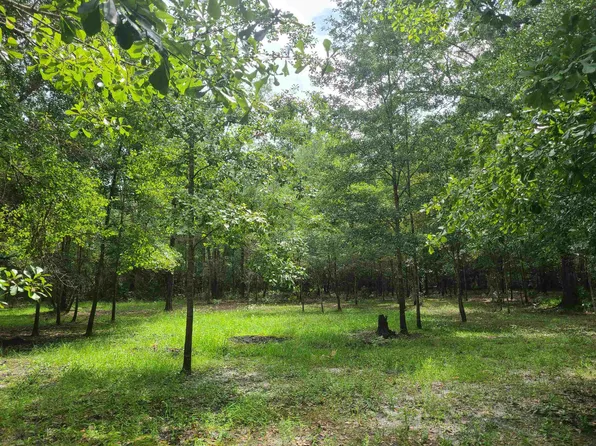 957 NW White Wing Dove Dr, Greenville, FL 32331