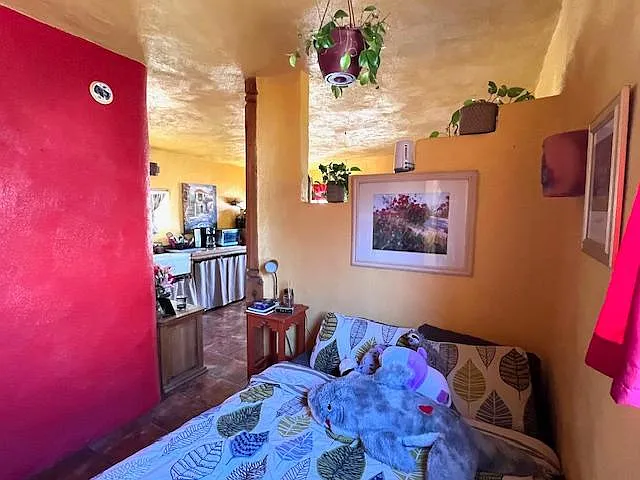 104 Avenue De Las Velasquez — Photo 10