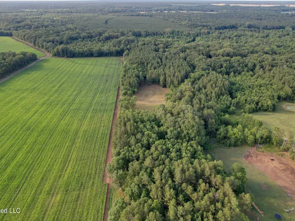 Red Oak Rd Lot 11, Pelahatchie, MS 39145