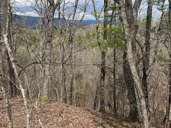 0 Valley View Rd, Basye, VA 22810