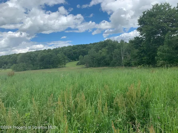 0 County Line Rd, Laceyville, PA 18623