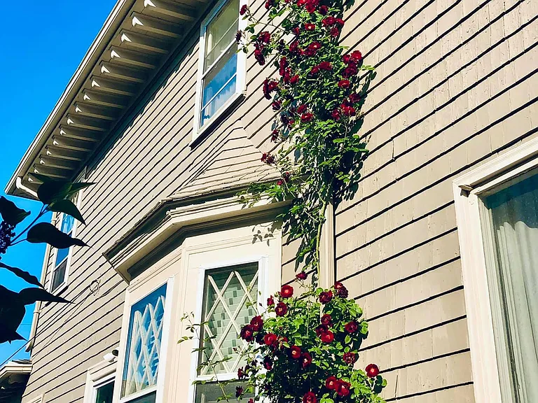 20 Greystone Park — Photo 17