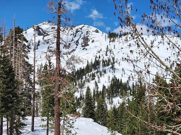 2090 Chalet Rd #2, Alpine Meadows, CA 96146