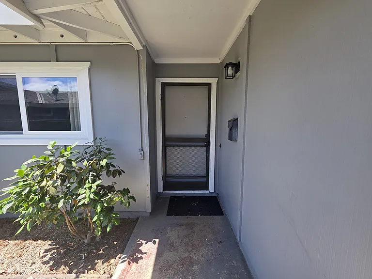 3360 Los Prados St — Photo 4