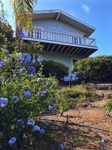 31345 El Horno St, San Juan Capistrano, CA, 92675