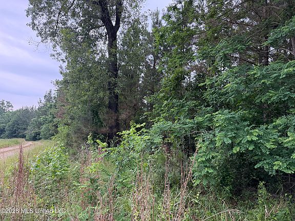 3rd image of Hall Rd