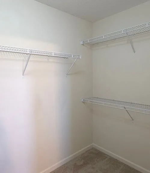 2125 Savannah Dr — Photo 15