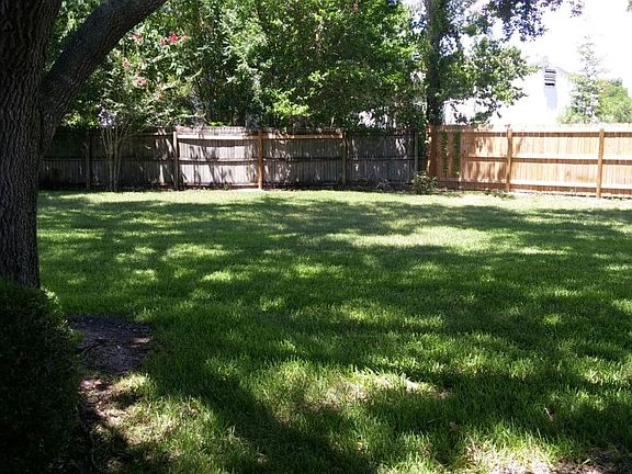 back yard