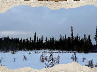 25645 Stinkbug St, Anchor Pt, AK 99556