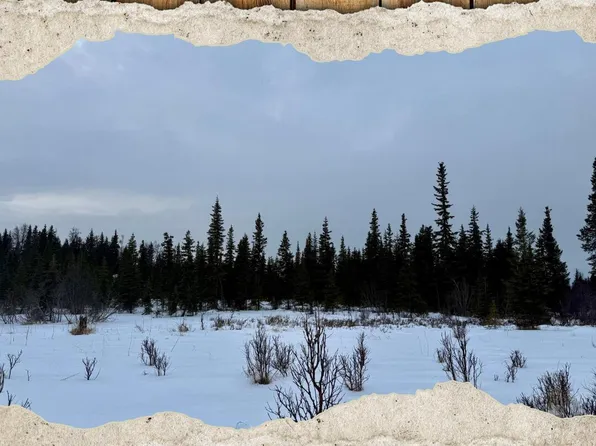 25645 Stinkbug St, Anchor Pt, AK 99556