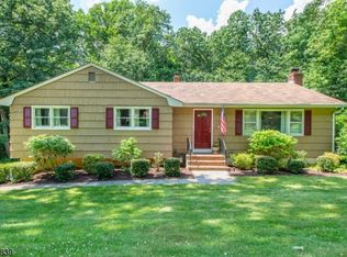 20 Overlook Dr, Long Valley, NJ 07853