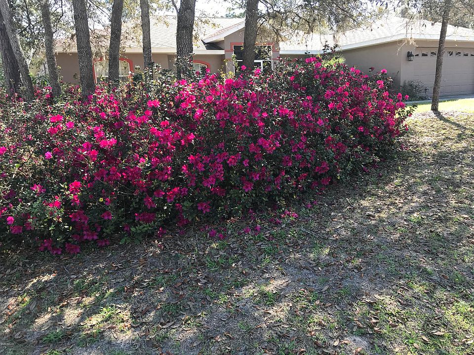 2nd image of 7065 N Tallwood Dr