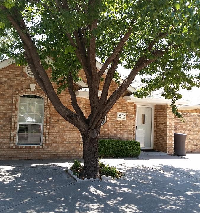 Excellent area nothing to upkeep but tree and shrubs in fron